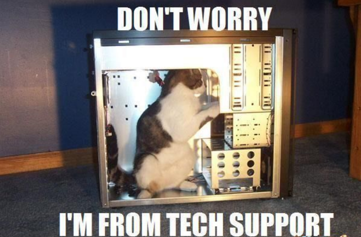 Don't worry, I'm from tech support
